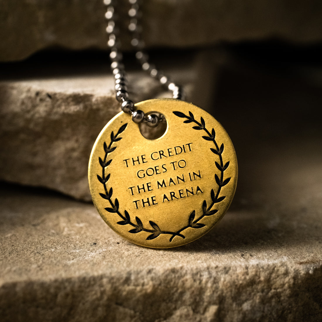 THE MAN IN THE ARENA